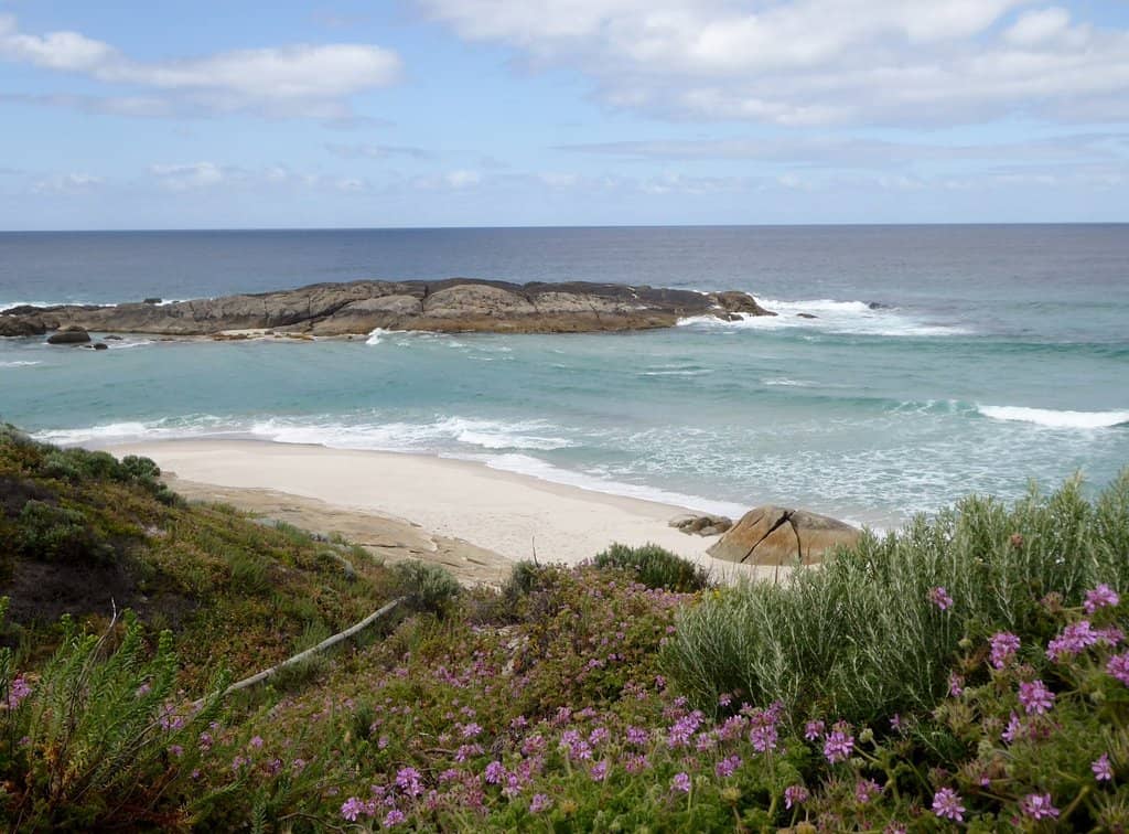 Surfing Hotspot