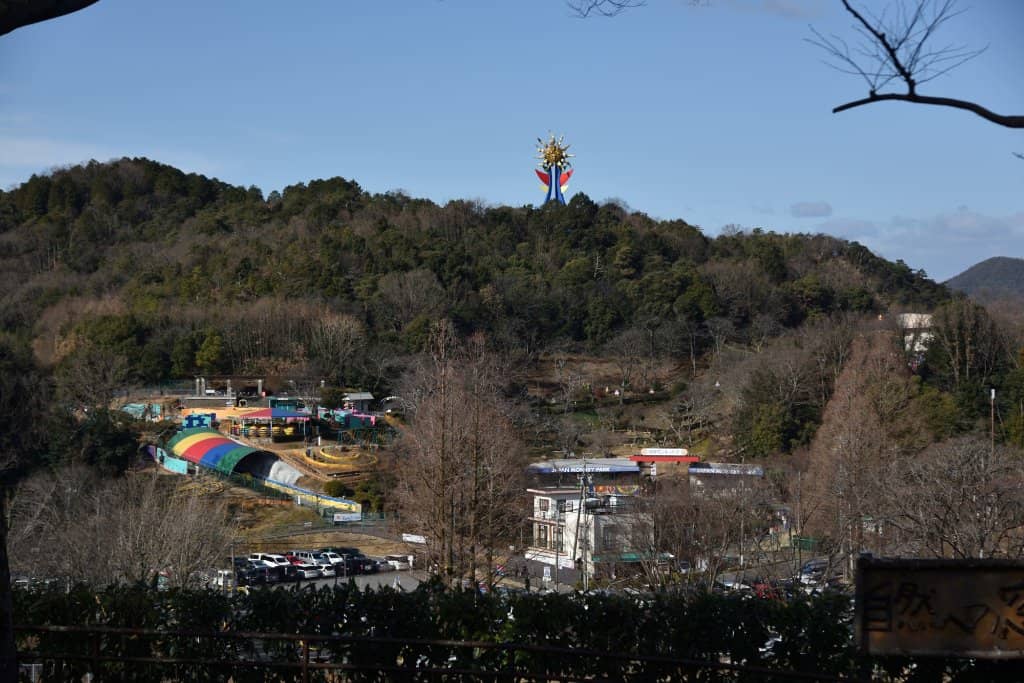 Picnic-Friendly Environment