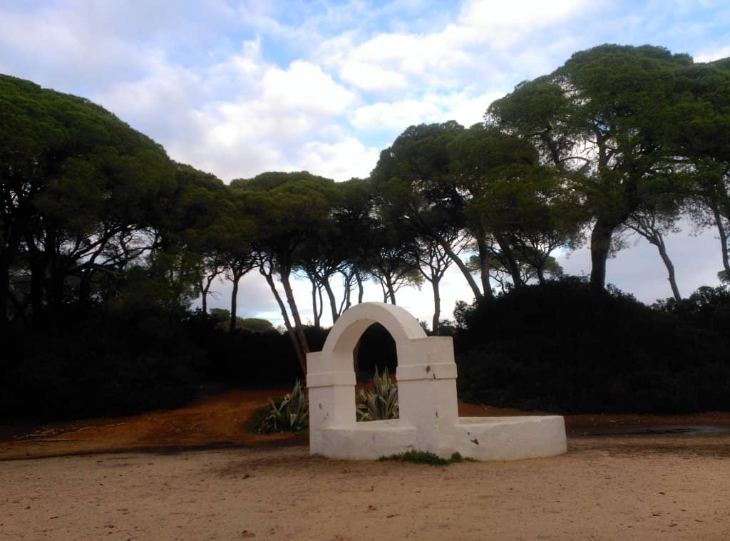 Skatepark and Sports Zones