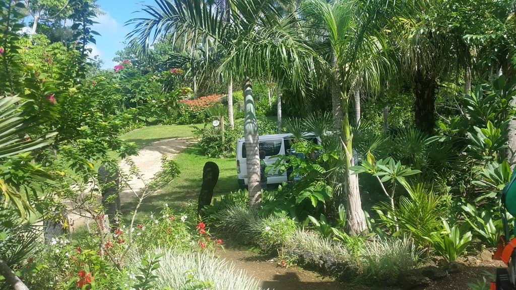 Jungle and Riparian Rainforest Walks