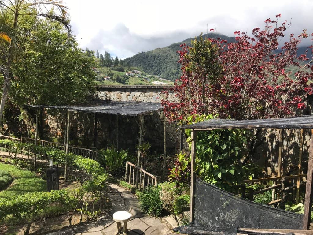 Australian Garden
