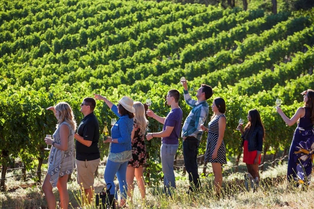 Exceptional Cabernet Sauvignon