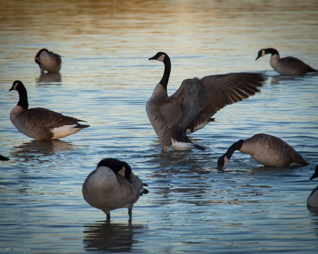 Astronomy Observatory