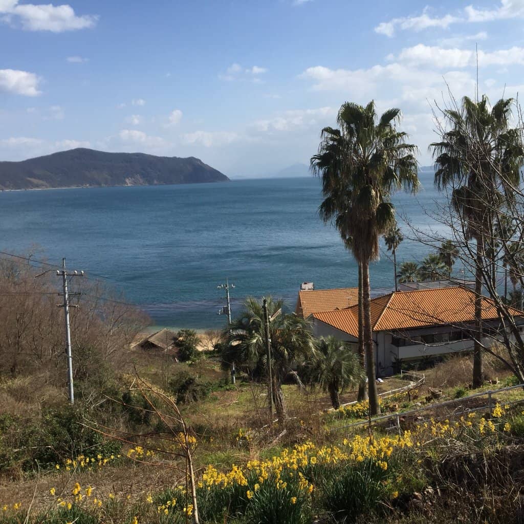 Scenic Coastal Walks