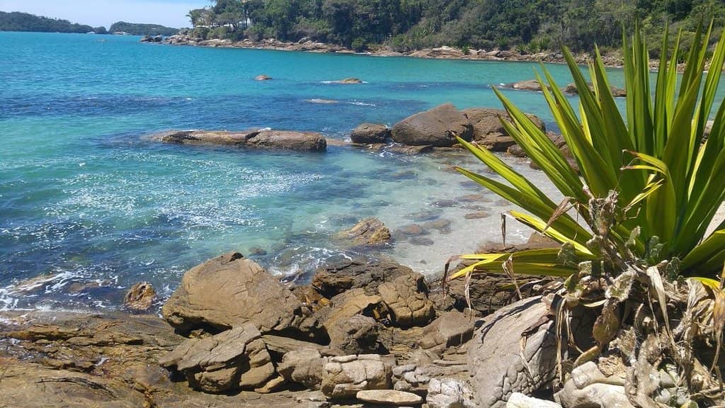 Secluded Beach Vibe