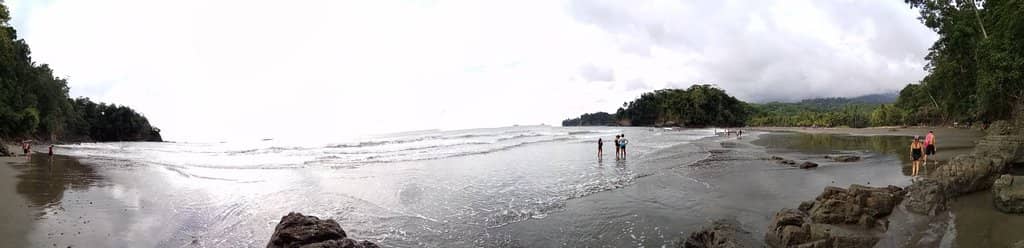 Tide Pool Exploration