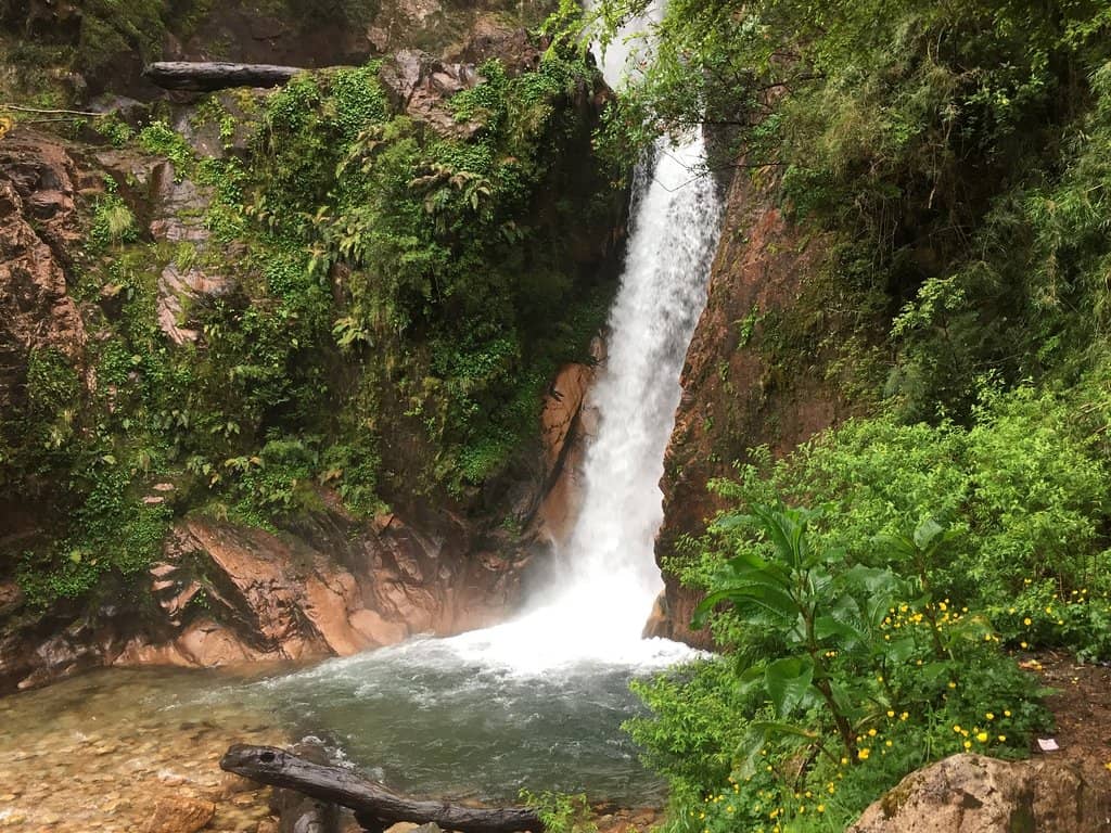 Vertical photo