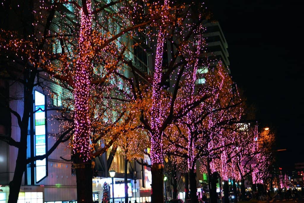 Gateway to Dotonbori & Shinsaibashi