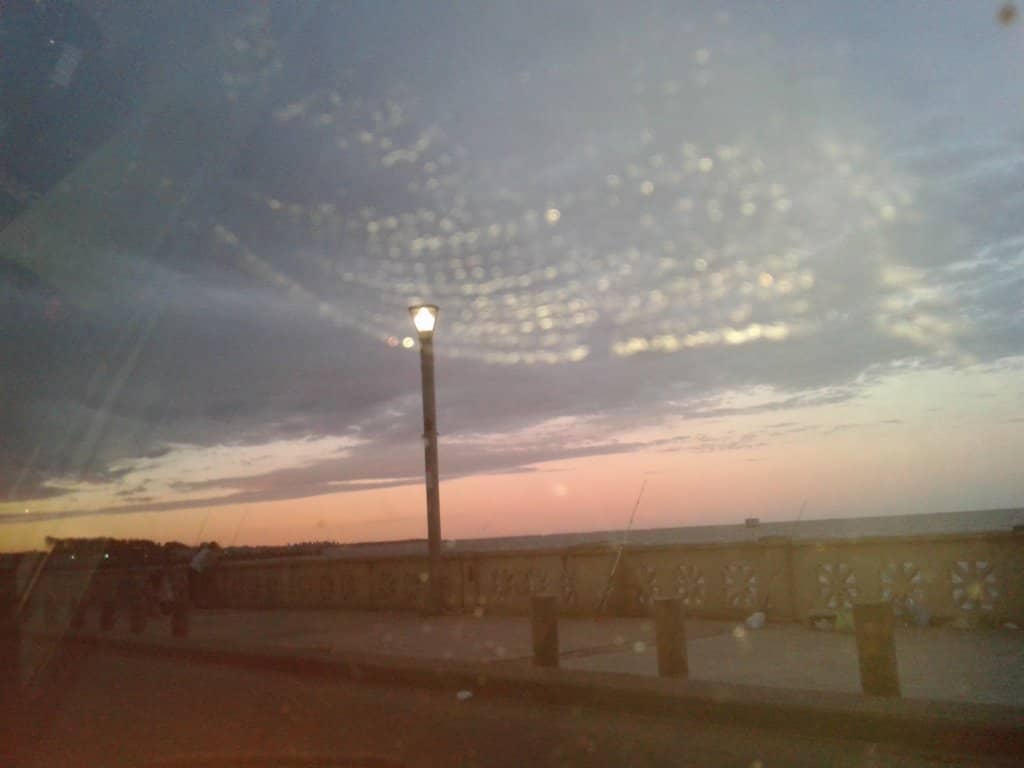 Vertical photo