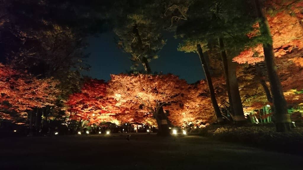 Night Illuminations