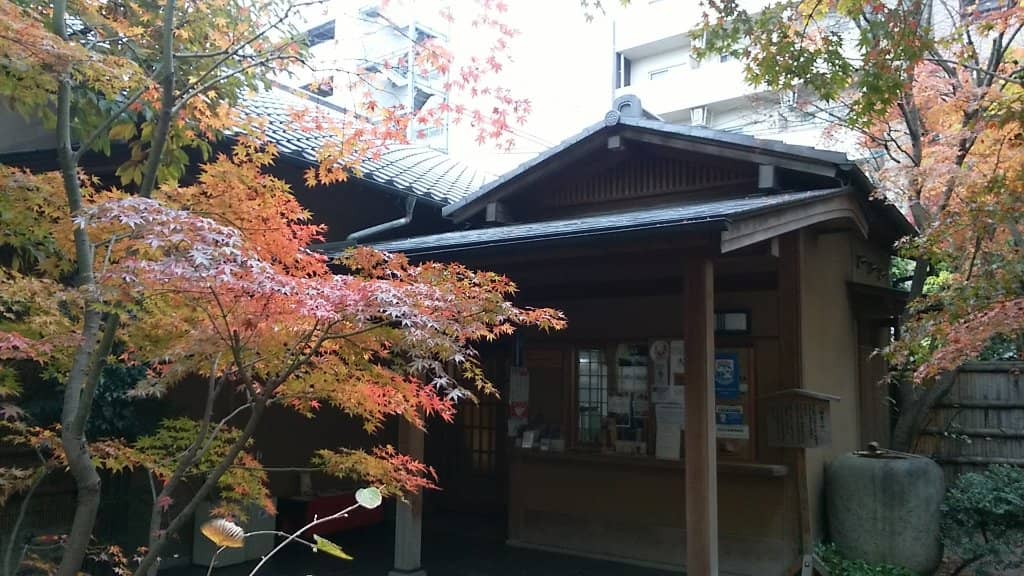 Tranquil Tea House Experience