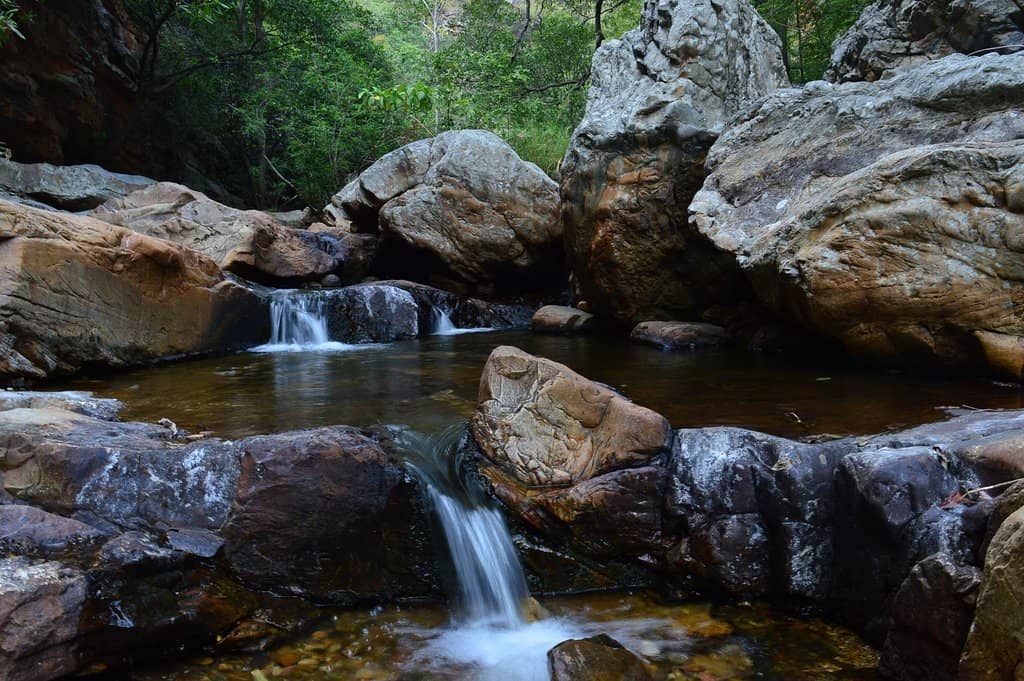 Natural Swimming Pools
