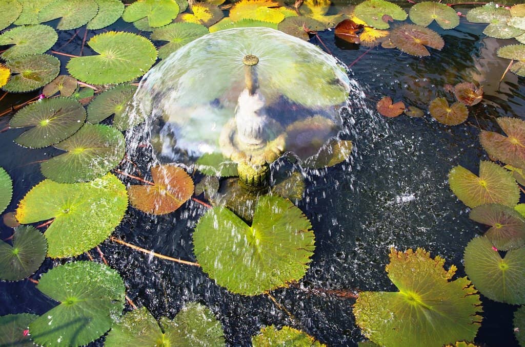 New Kashi Vishwanath Mandir (Birla Mandir)