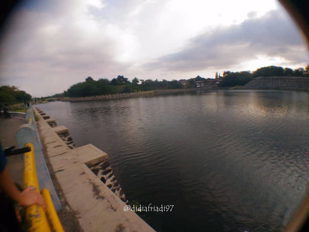 Local Street Food Delights