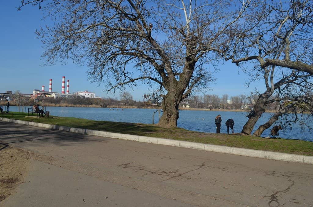 Picnic & Relaxation Spots