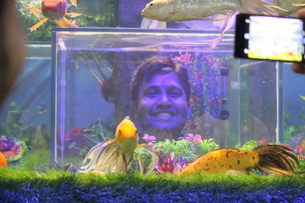 Interactive Aqua Experiences