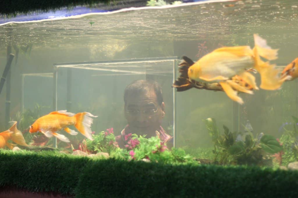India's Largest Public Aquarium