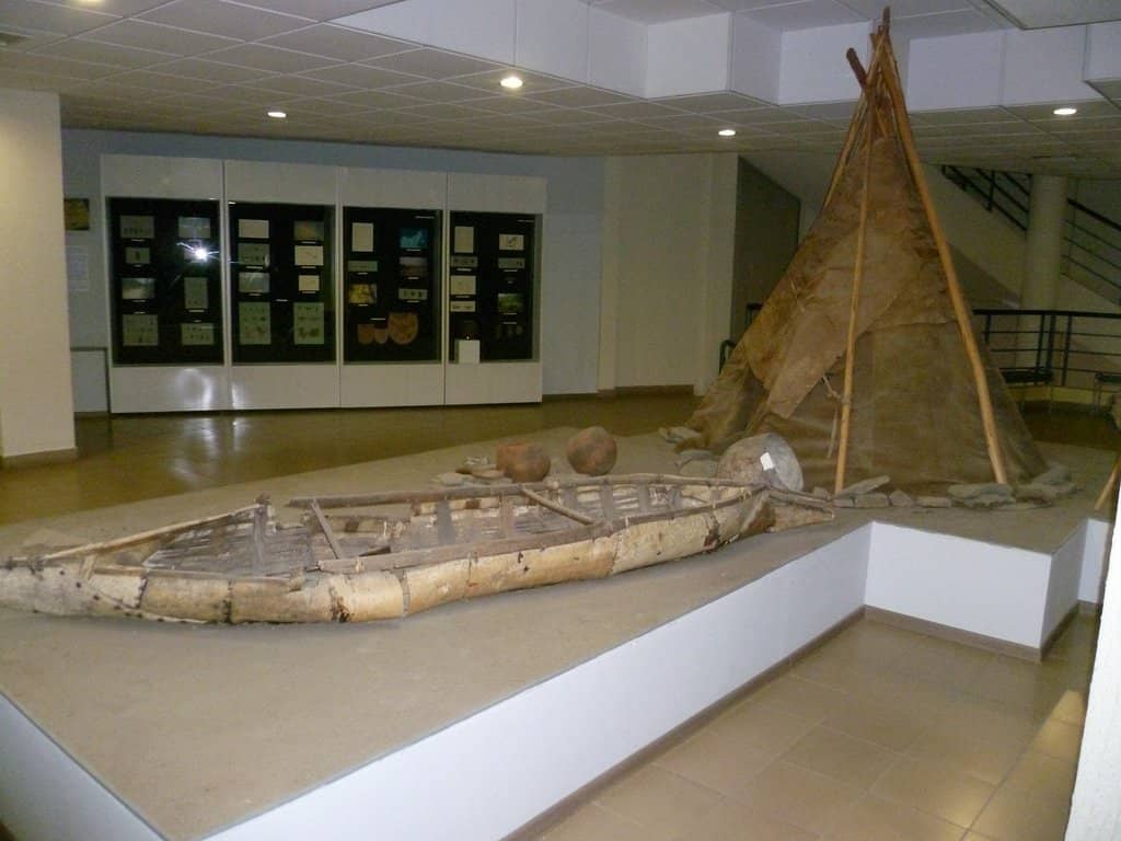 Fossil Remains Collection