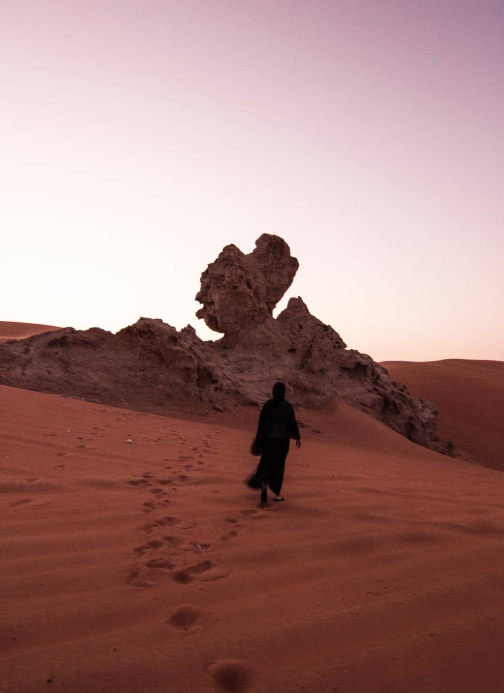 Camel Rock