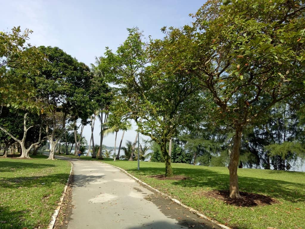 Pirate Ship Playground