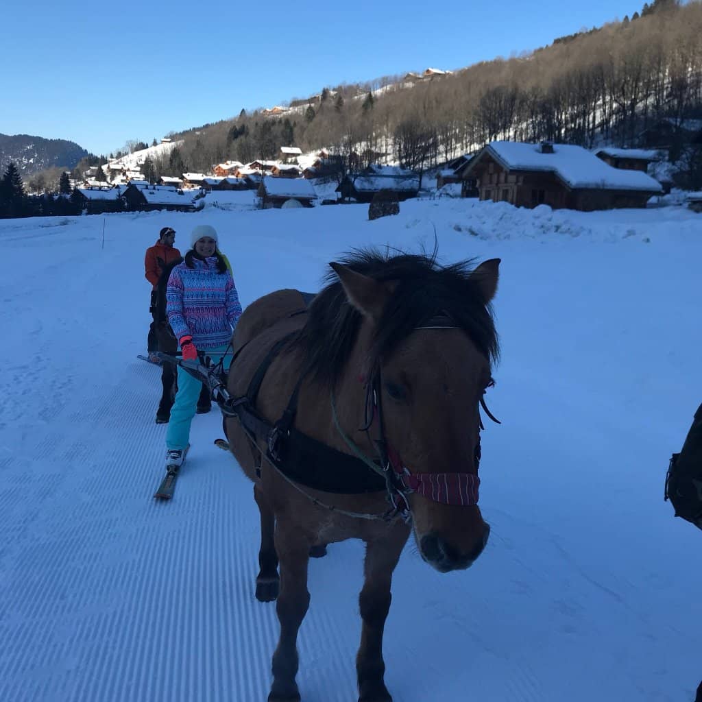 Live Music & Festive Evenings