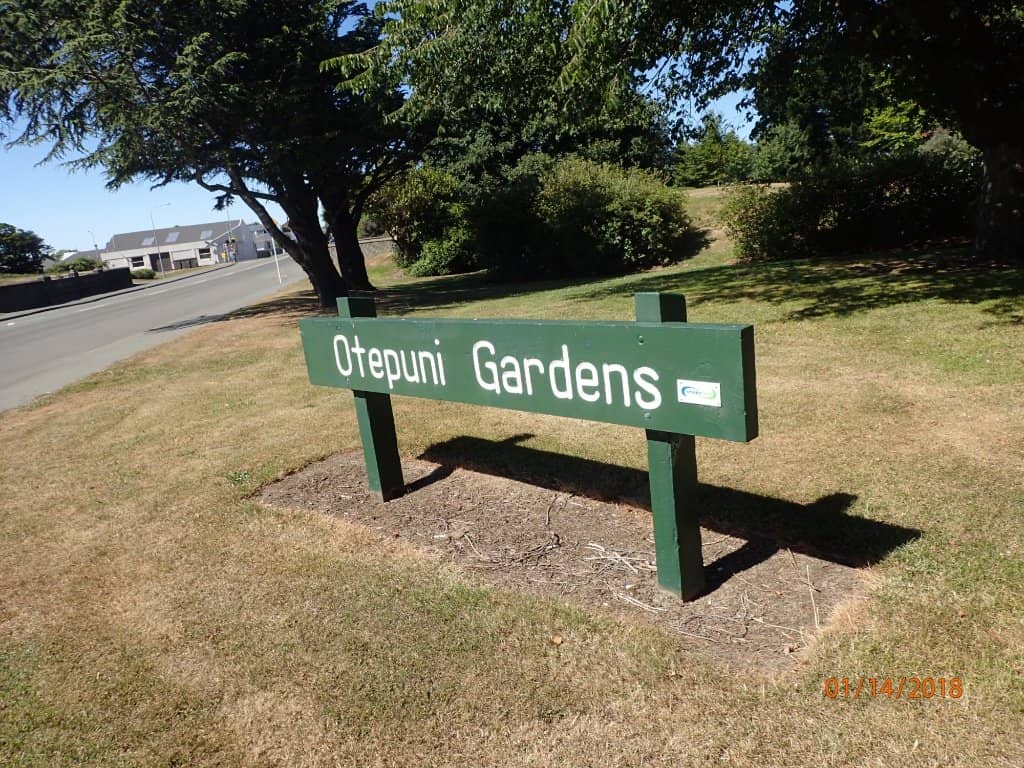 Local Flora Appreciation