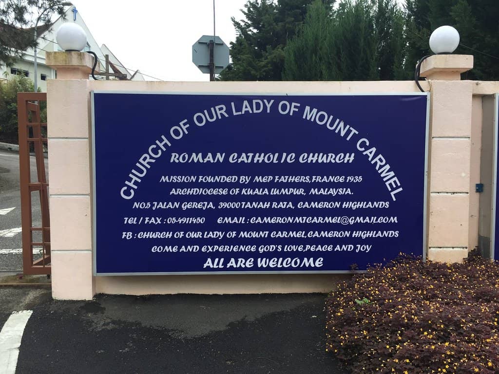 Serene Garden Surroundings