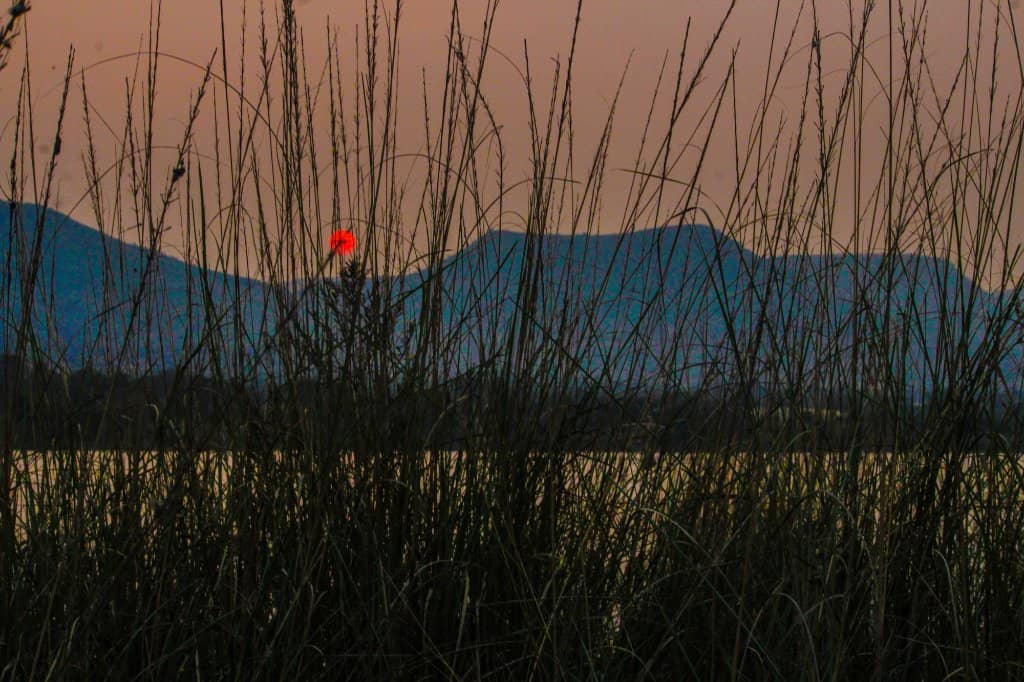 Sky Dining Experience