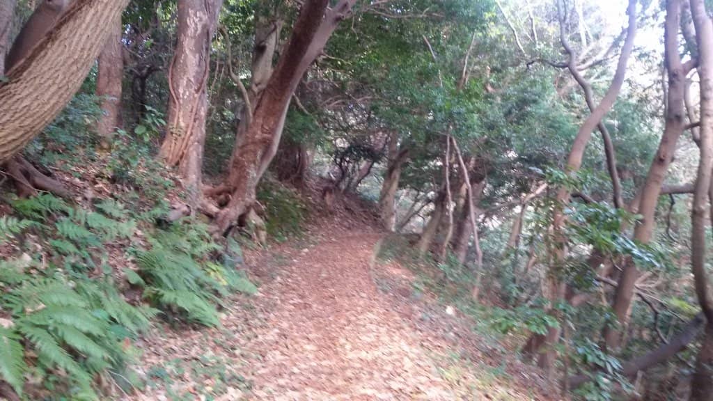 Kirihama Beach