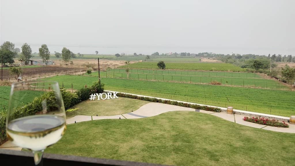 Wine Tasting Experience