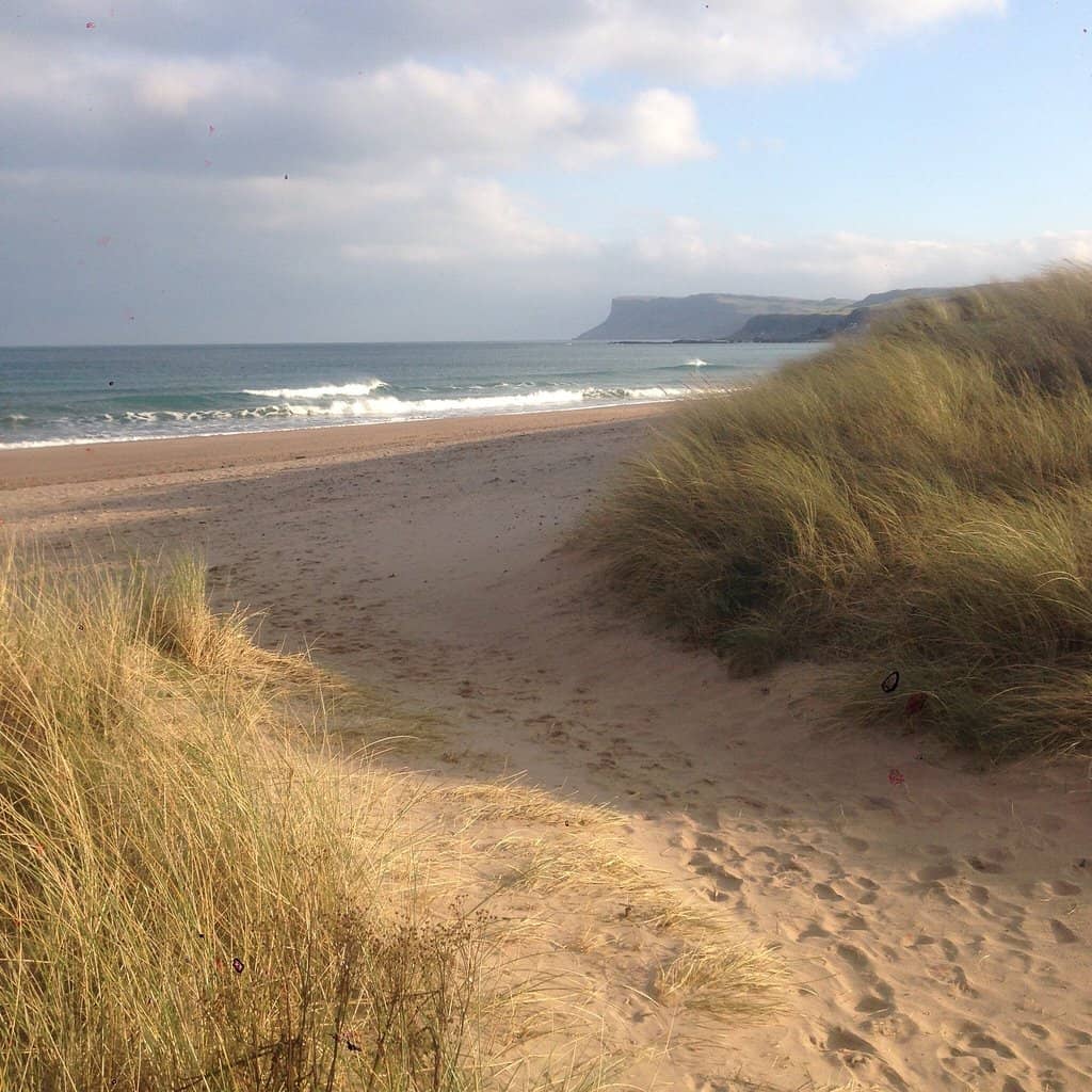 The Beach Itself
