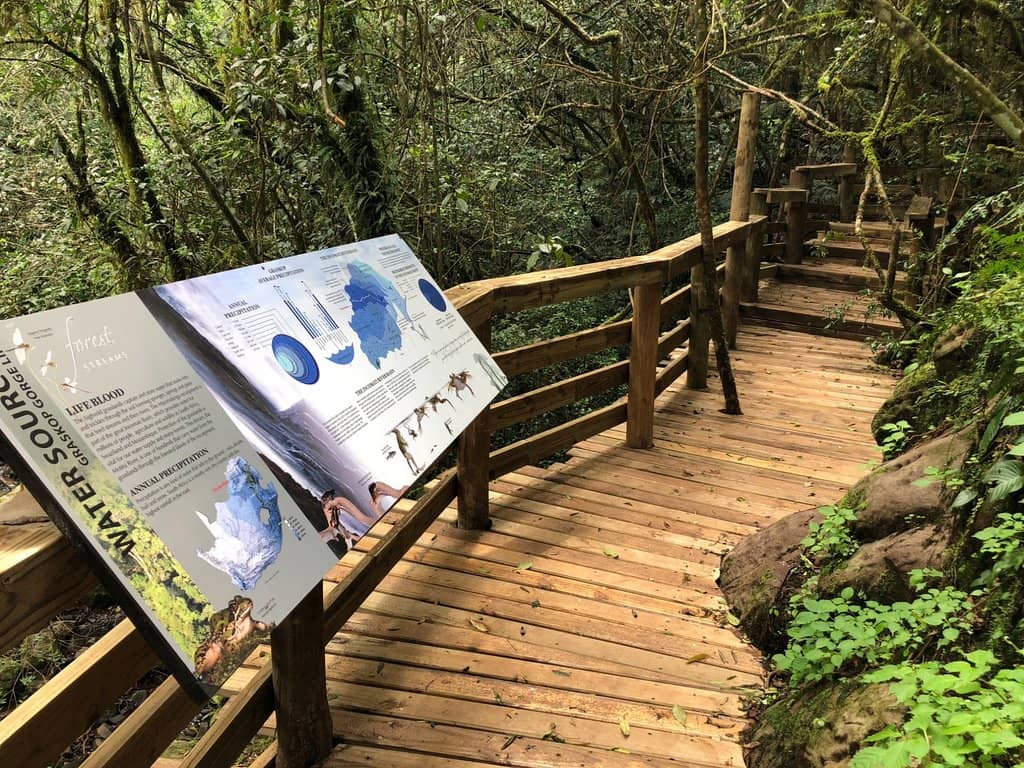 Forest Walkways & Suspension Bridges