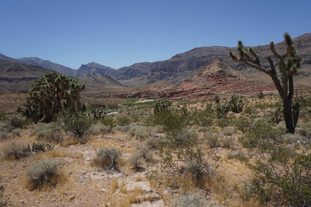 Virgin River Canyon Views