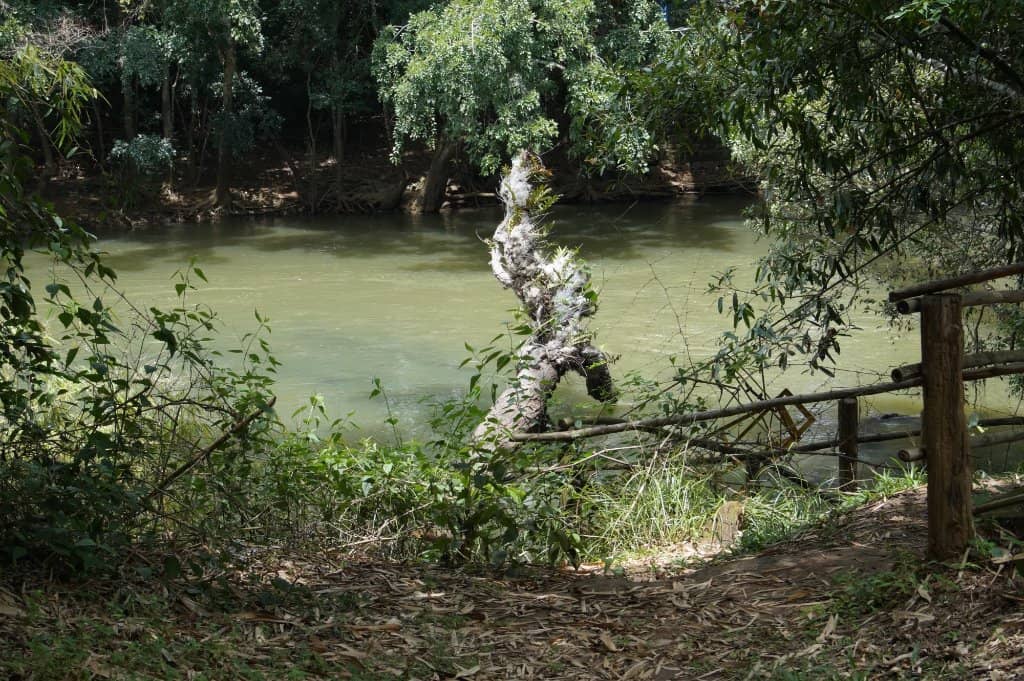 Cauvery River Bridge