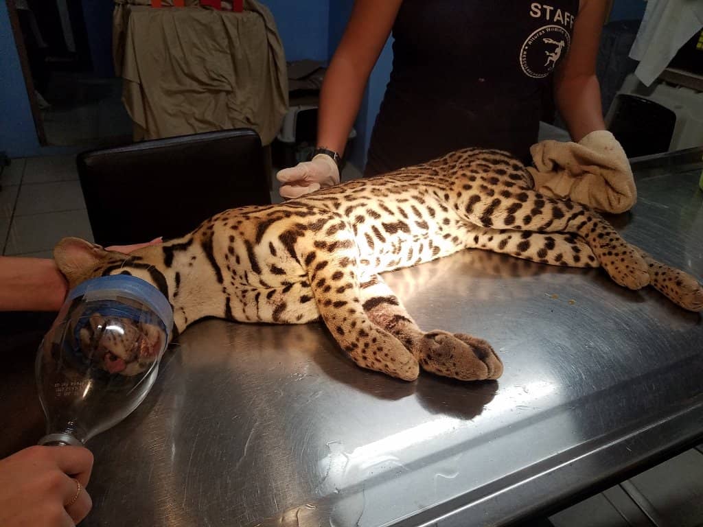 Panoramic Ocean Views