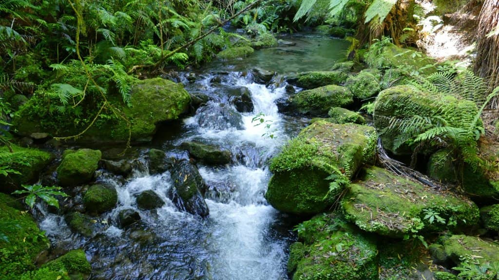 Boundary Stream Mainland Island