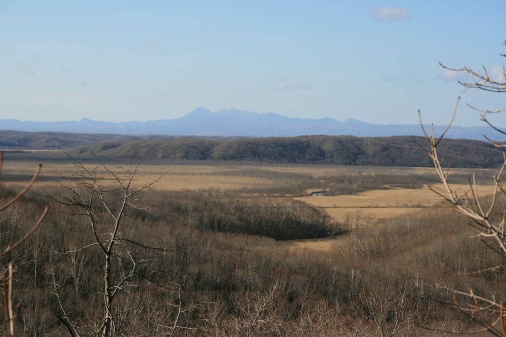 Panoramic Marshland Views