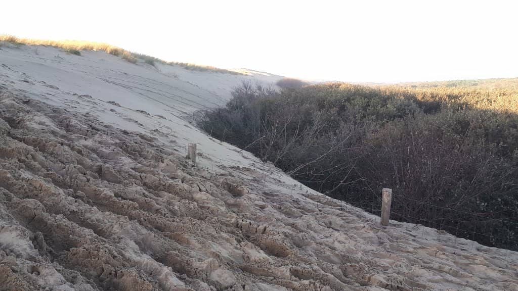 Vertical photo