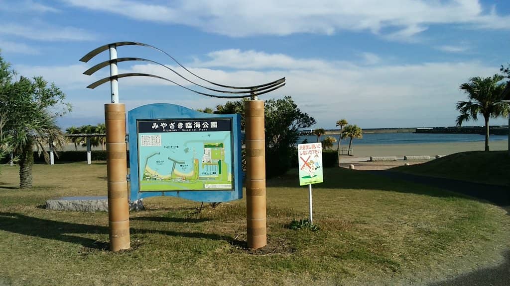 Aquatic Sports Fun
