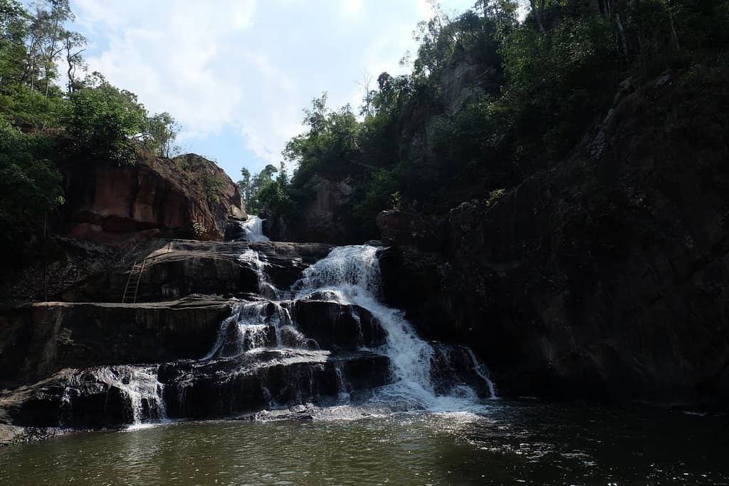 Prehistoric Cave Art