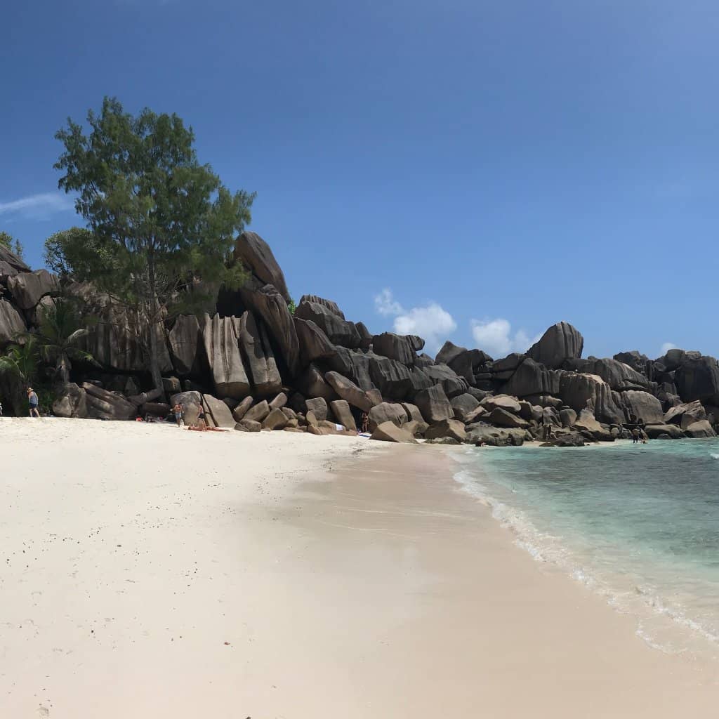 Vallée de Mai Nature Reserve