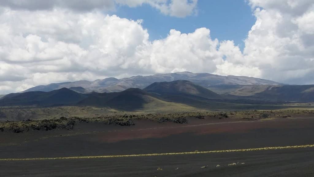 Guanaco Migration Route