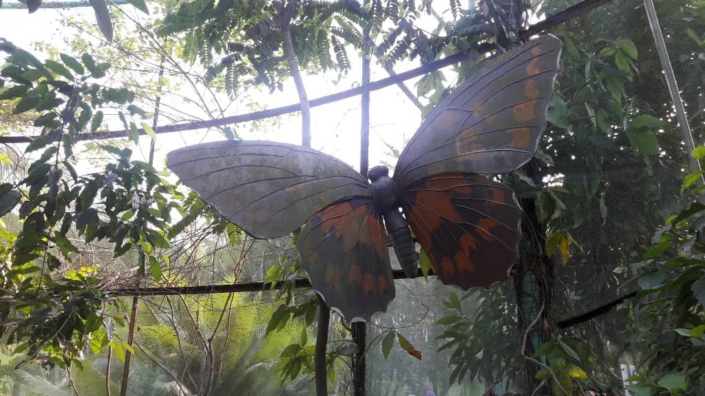 Robotic Wildlife Encounters