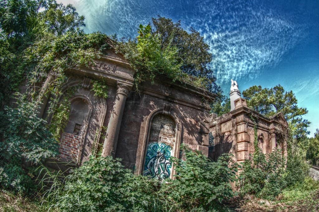 Vertical photo