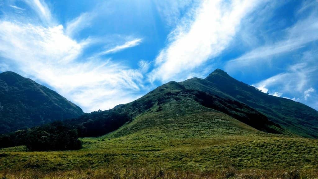 Lush Greenery & Shola Forests