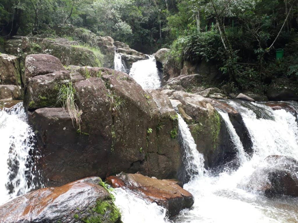 Picnic & Contemplation Area