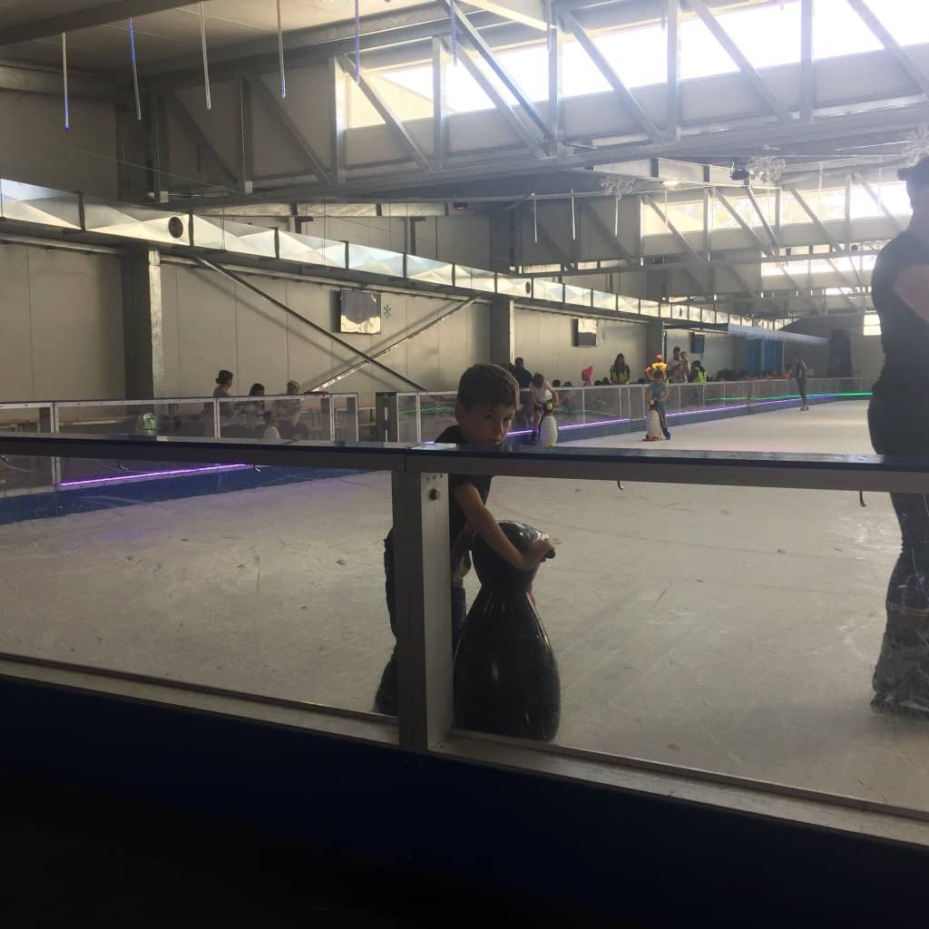 Penguin Skate Aids