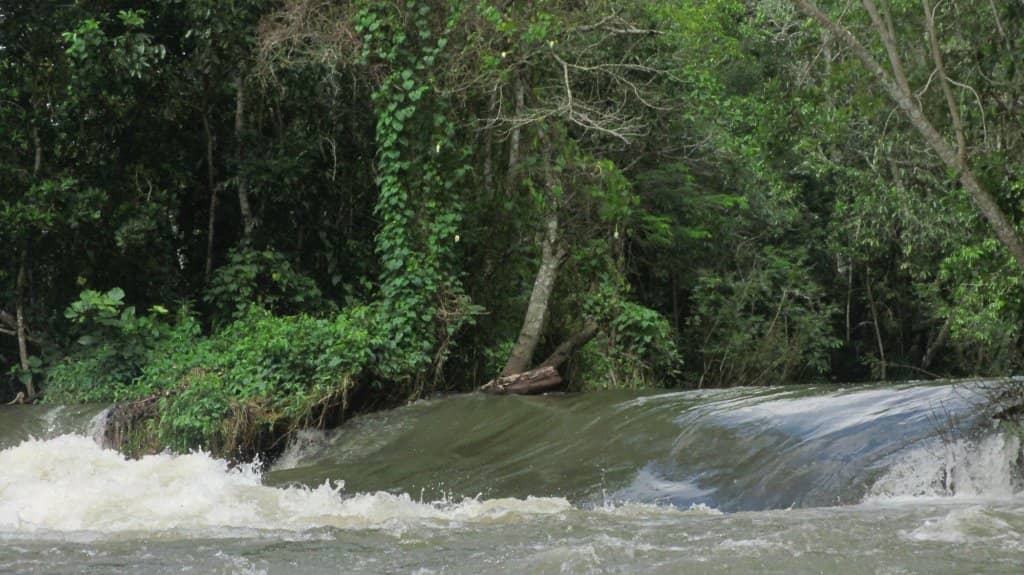 Crystal Clear Waters