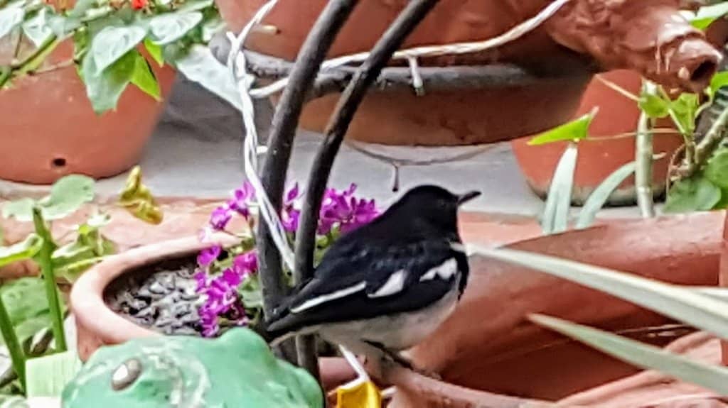 Cozy Ambiance & Friendly Staff