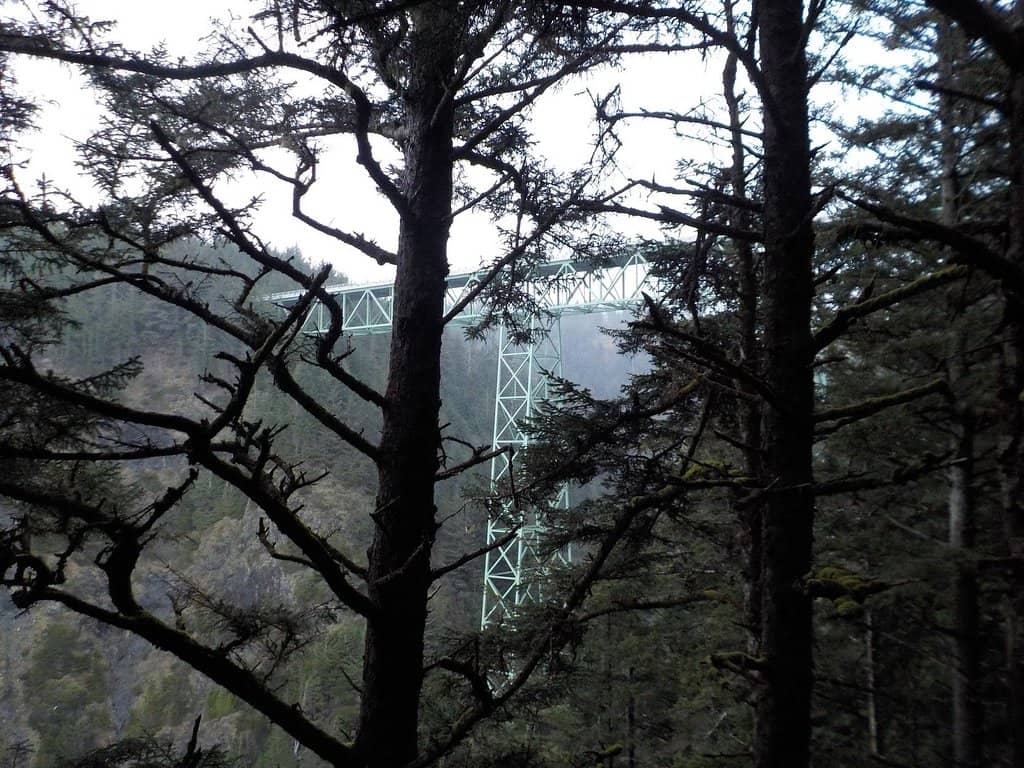Vertical photo